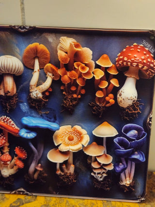 Metal mushroom sign r c d