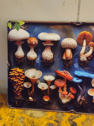 Metal mushroom sign r c d