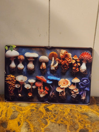 Metal mushroom sign r c d