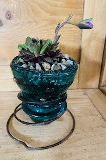 Mimicry Succulent in Vintage Glass Insulator RCD