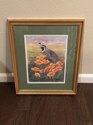 California Quail in Poppies   MTS