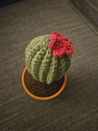 RM826-Crochet Cactus