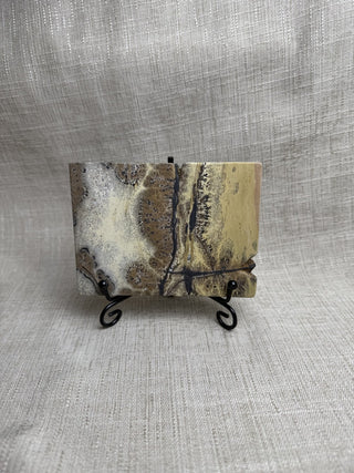 Polished Picture Jasper Slab w/ black stand|52538