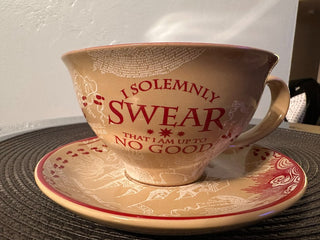 Harry Potter 12oz Cup Saucer Set MTS