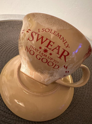 Harry Potter 12oz Cup Saucer Set MTS