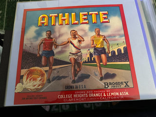 Athlete Authentic Citrus Farm Crate Label EC006 MTS