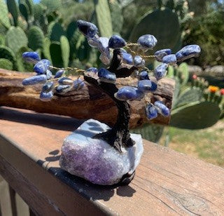 Sodalite Gemstone on Amethyst Base RCD