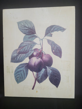 8x10 Home Interiors Wall Art - Plums RCD|96298