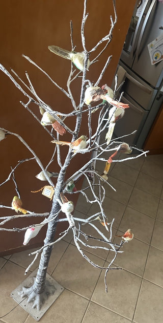 Holiday Home Birch Tree #62 VV MTS|125511