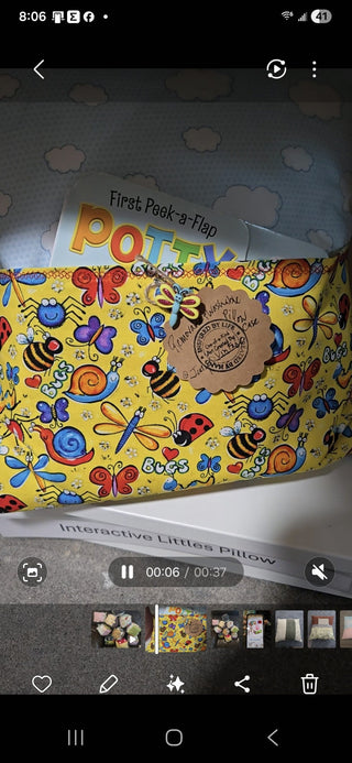 14x14 Interactive Pillow "First Peek-a-Flap Potty" RCD