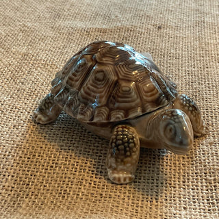 Wade Tortoises trinket box MTS|72826