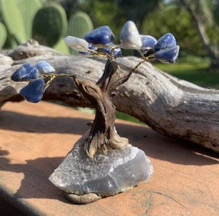 Sodalite Gemstone Bonsai Tree of Life RCD|65007