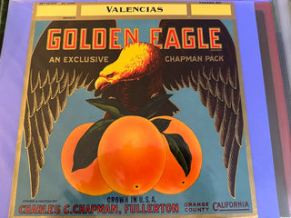Golden Eagle Authentic Citrus Farm Crate Label EC031 MTS