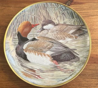 Vintage Water Birds of the World 9" Red-Crested Pochard #47 VV MTS