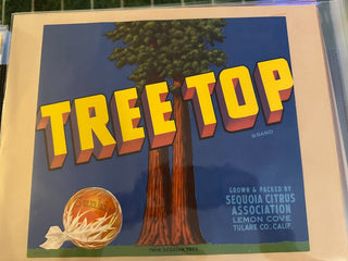 Tree Top Authentic Citrus Farm Crate Label EC111A MTS|100429