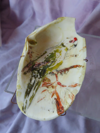 Hand painted shell art MTS