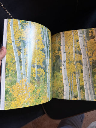 William Neill & Tim Palmer Yosemite: The Promise of Wildness  #62 VV MTS