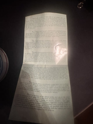 Avon Vintage 1990's Blue Fishing Stein Trout Bass Pike Bonefish Salmon Blue Gill #47 VV MTS|135547