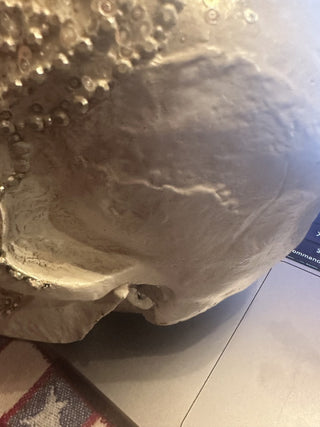 Sparkly Skull with Studs and Rhinestones and pearl eyeball #62 VV MTS