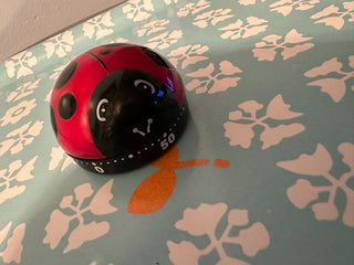 Timer Ladybug MTS|115270