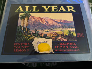 All Year Authentic Citrus Farm Crate Label EC003 MTS|100171