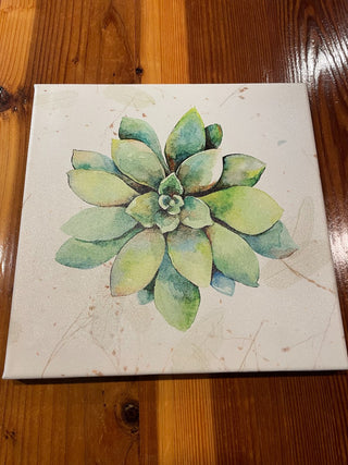 Wrapped Canvas Succulent Print ~MTS|90359