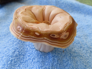 Mushroom candle RCD|81488