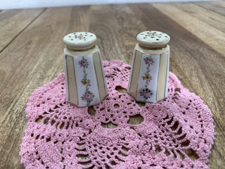 Vintage Nippon Hand-painted Salt & Pepper Shakers MTS|56486
