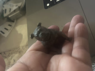 Vintage Miniature Metal bulldog with copper #62 VV MTS|90229