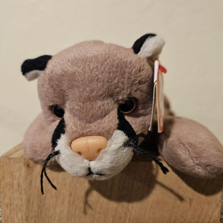 Beanie Babies - Canyon (Cougar)