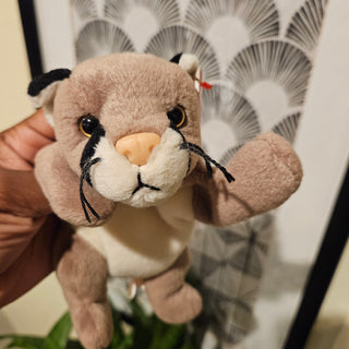 Beanie Babies - Canyon (Cougar)