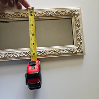 White Grapes Framed Mirror