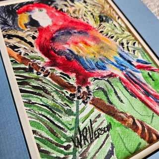 SALE - Tropical Scarlet Macaw Original Watercolor Art 5x7