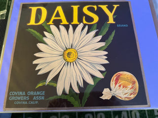 Daisy Authentic Citrus Farm Crate Label EC016 MTS|100247