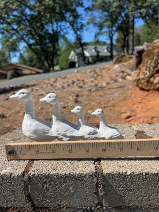 JP Dept 56 - 4 Ducks In A Row
