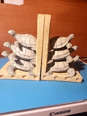 Turtle bookends
