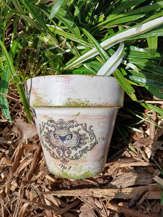 Terra Cotta Pot w Dried Lavender/Moss