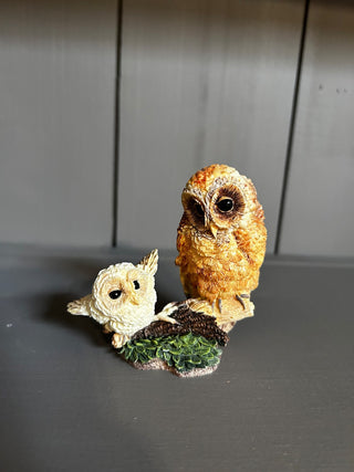 171 Hamilton collection Owls|94670