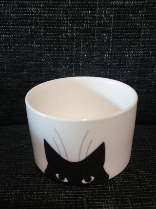 Black cat plant pot 2 RCD|87086