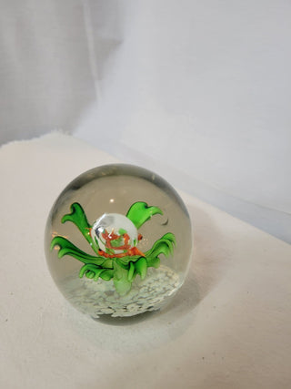 SDS Seapoot Group Glass Paperweight RCD