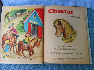 Chester the little pony - child's book RCD|70718