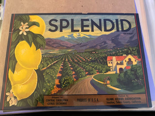 Splendid Authentic Citrus Farm Crate Label EC099 MTS|100399