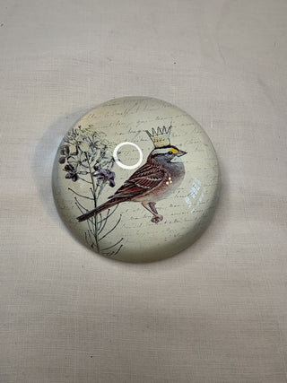 Bird Paperweight RSV|116678