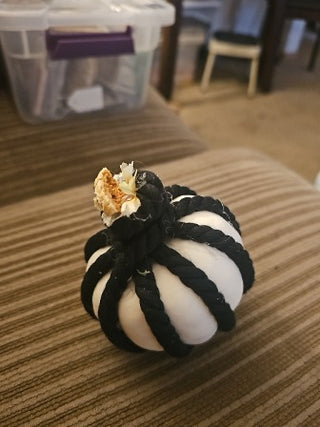 AD. Black & White Pumpkin Small