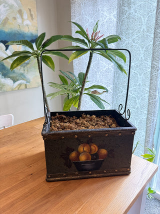 Vintage Wooden Garden Basket