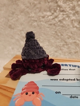 Aquatic Worry-free Pet: Hermit Crab- gray, dark red, round aquarium, gems, adoption certificate
