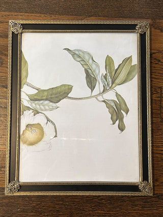 Vintage Frame, Holds 8”x10”    MTS|123828