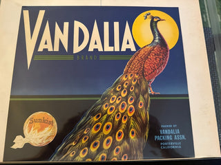 Vandalia Authentic Citrus Farm Crate Label EC115 MTS|100435