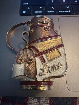Linx Gold Caddie Bag Decorative Gold tone with chain handle #62 VV MTS|103166