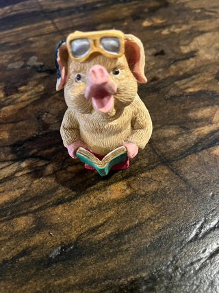 Relaxing Piggy w/Sunglasses and Book. RSV